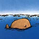 Adiós, querida ballena - Achim Bröger - Editorial Juventud - Libro Nuevo (Tapa Dura)
