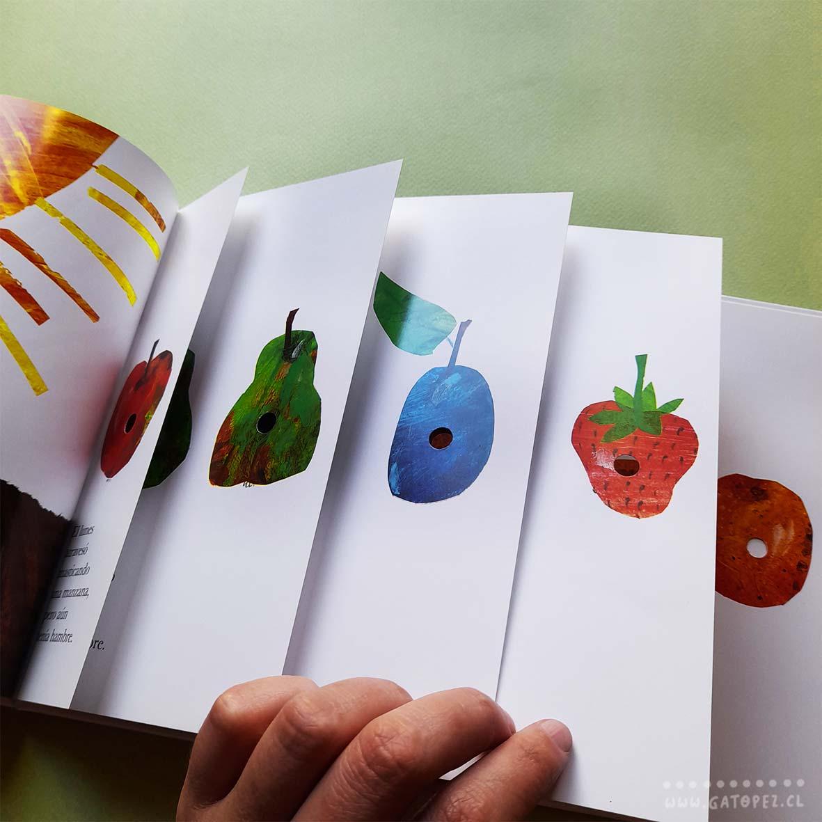 La pequeña oruga glotona (Edición Especial Lenticular) - Eric Carle - Kókinos - Libro Nuevo (Tapa Dura)