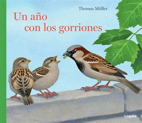 Un año con los gorriones - Thomas Müller - Loguez - Libro Nuevo (Tapa Dura)
