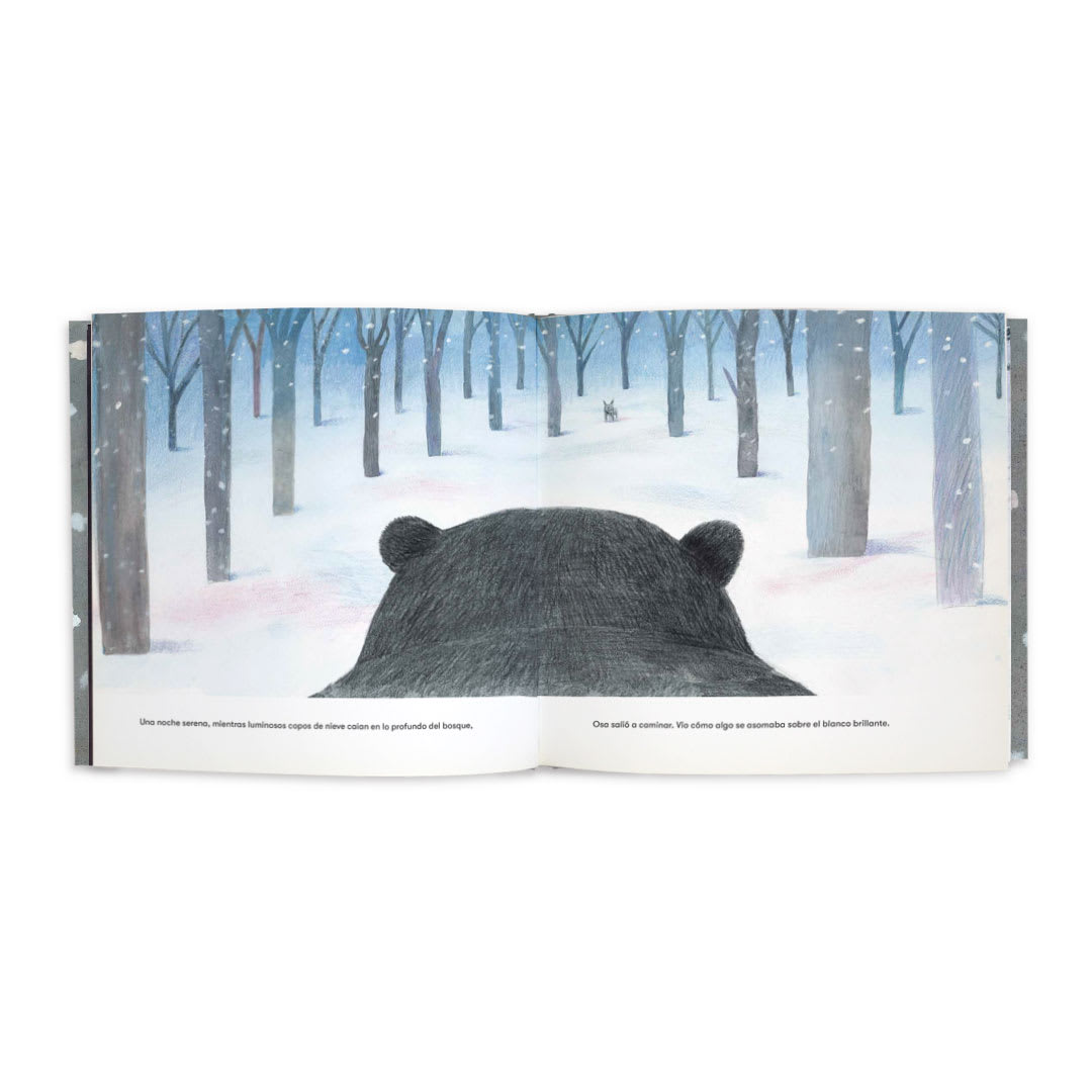 Osa y Lobo - Daniel Salmieri - Ekaré - Libro Nuevo (Tapa Dura)