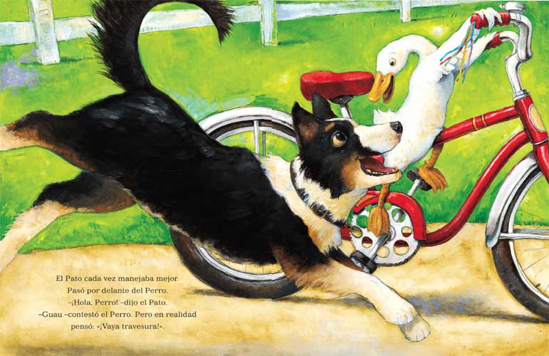 Pato va en bici - David Shannon - Editorial Juventud - Libro Nuevo (Tapa Dura)