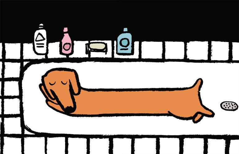 Ralf - Jean Jullien - Editorial Juventud - Libro Nuevo (Tapa Dura)