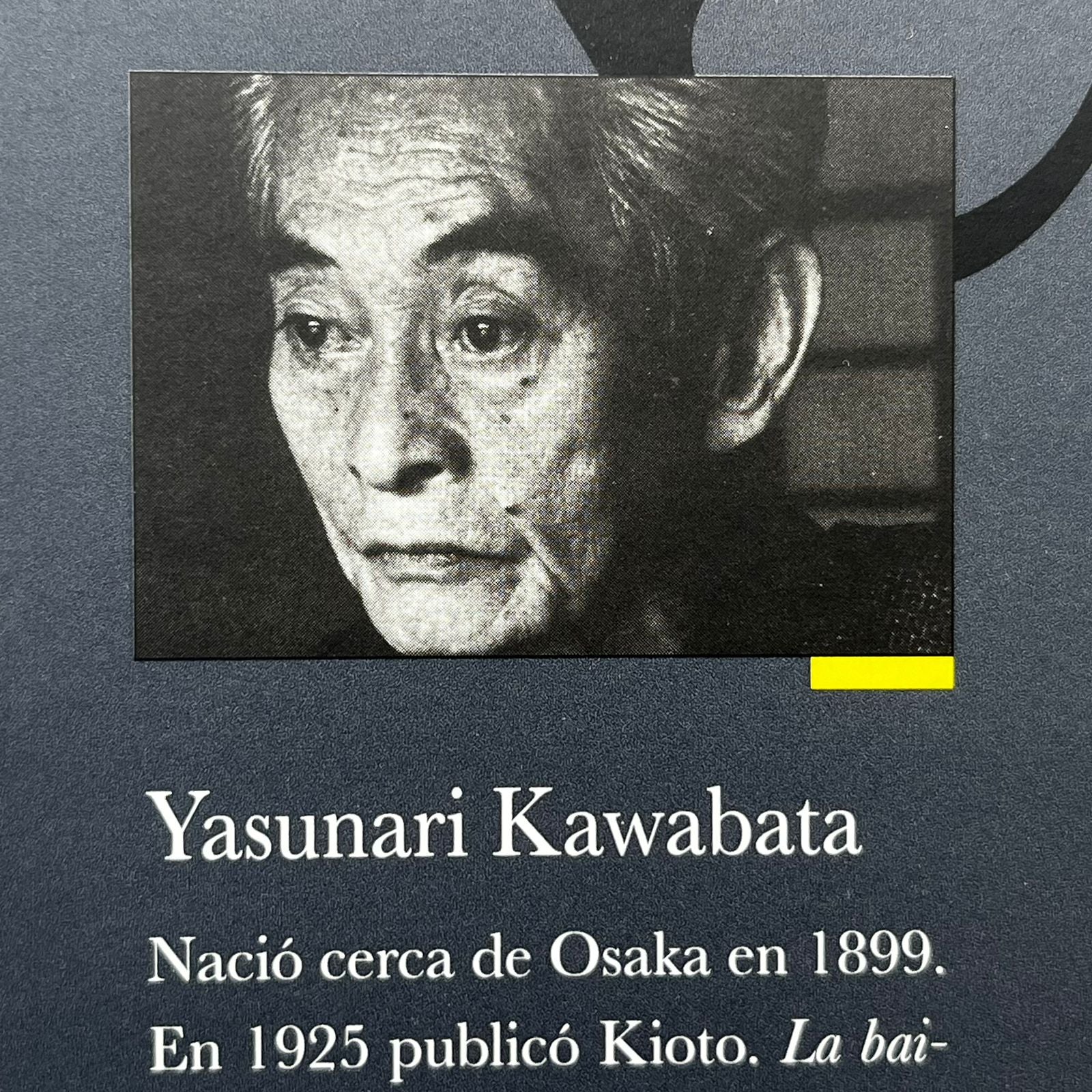 Primera Nieve en el monte Fuji  - Yasunari Kawabata - Norma - Libro Usado