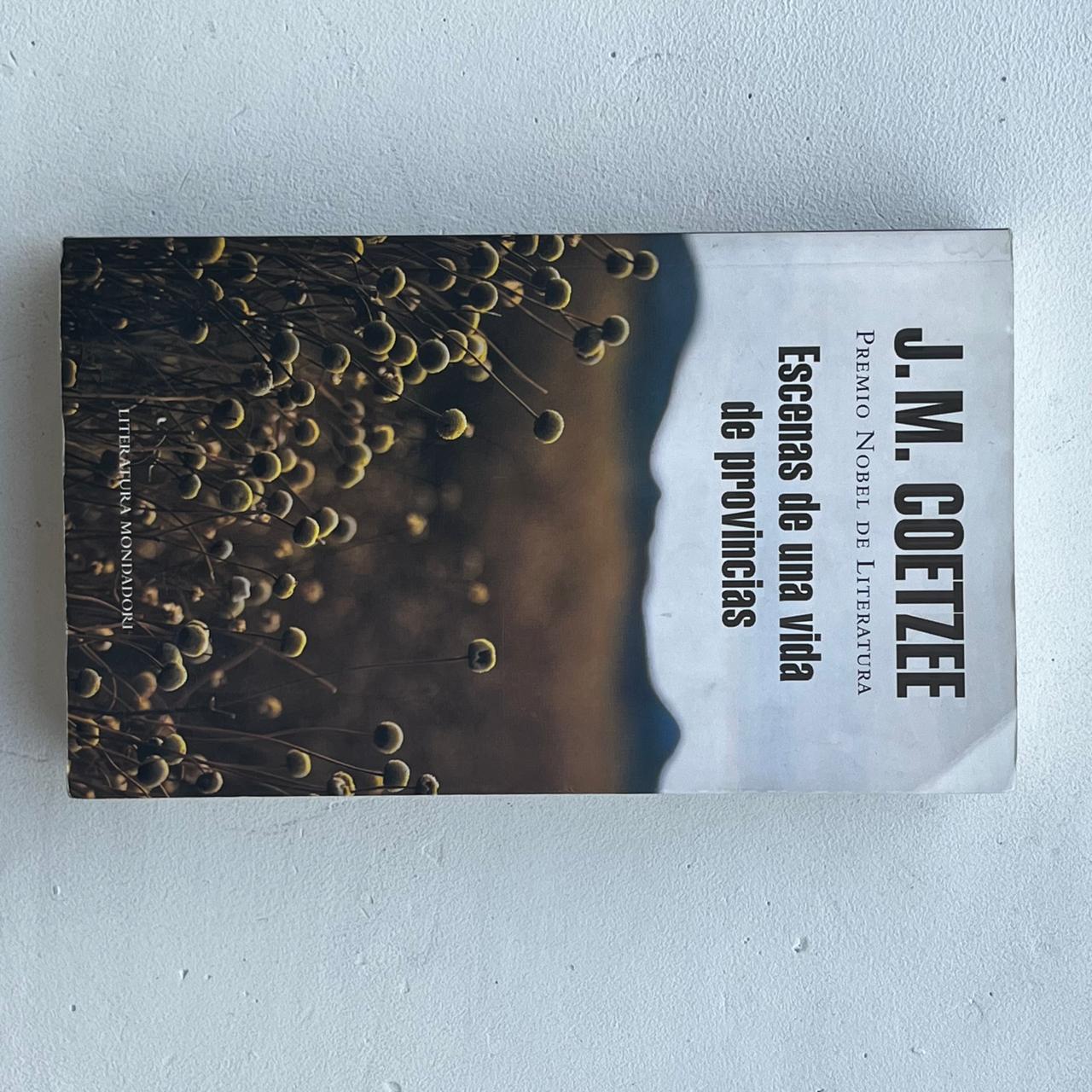 Escenas de una vida de provincias  - J.M. Coetzee - Mondadori - Tapa Blanda - Libro Usado