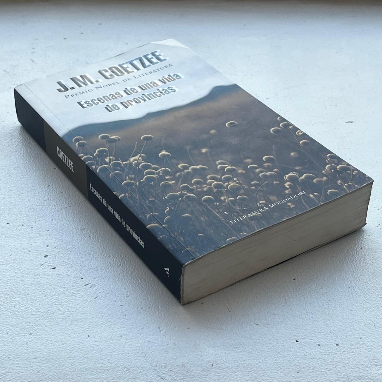 Escenas de una vida de provincias  - J.M. Coetzee - Mondadori - Tapa Blanda - Libro Usado
