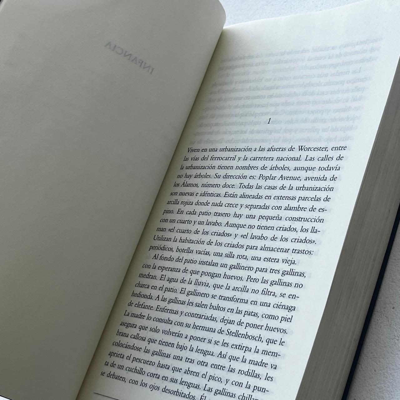 Escenas de una vida de provincias  - J.M. Coetzee - Mondadori - Tapa Blanda - Libro Usado