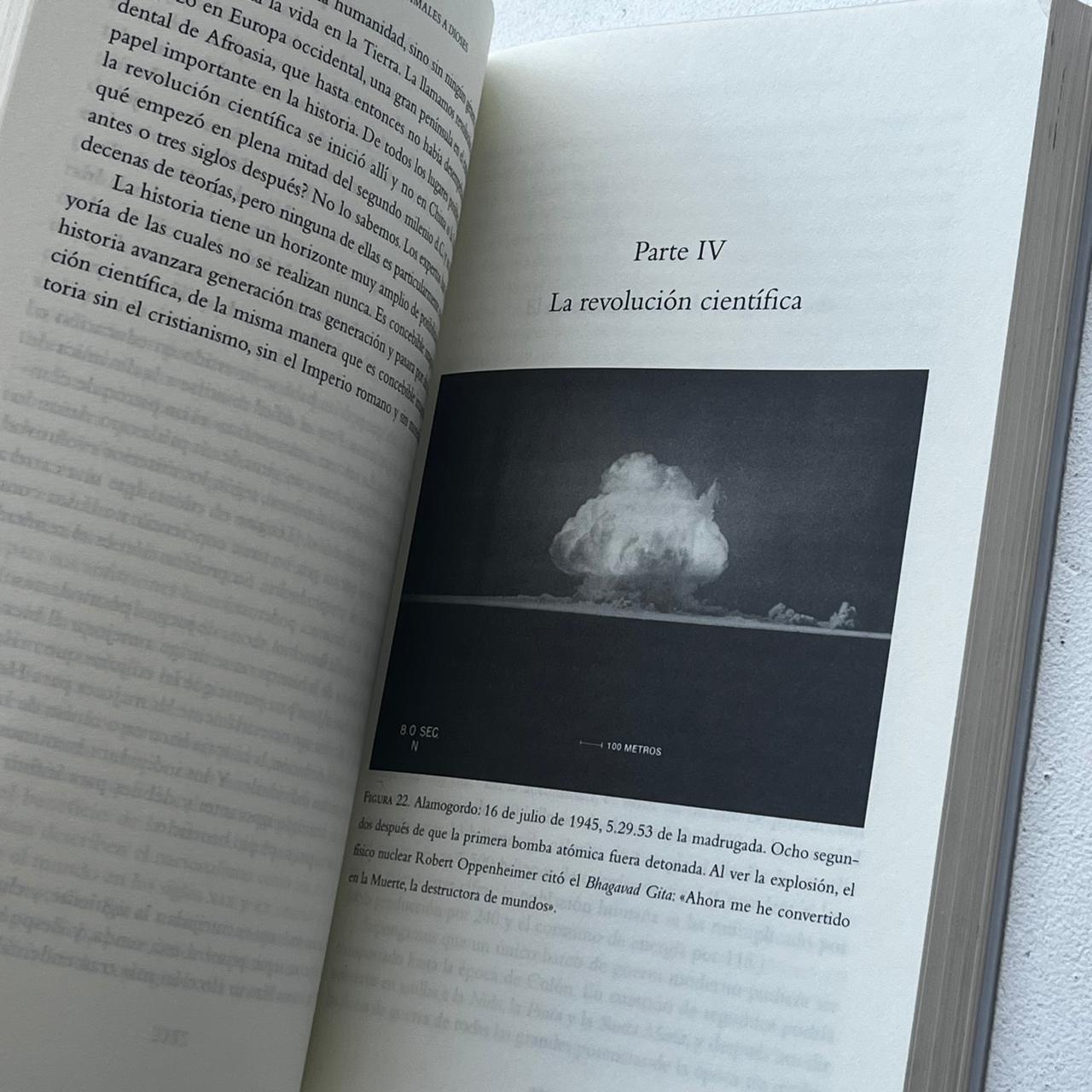 De animales a dioses (Sapiens) - Yuval Noah Harari - Debate - Libro Usado