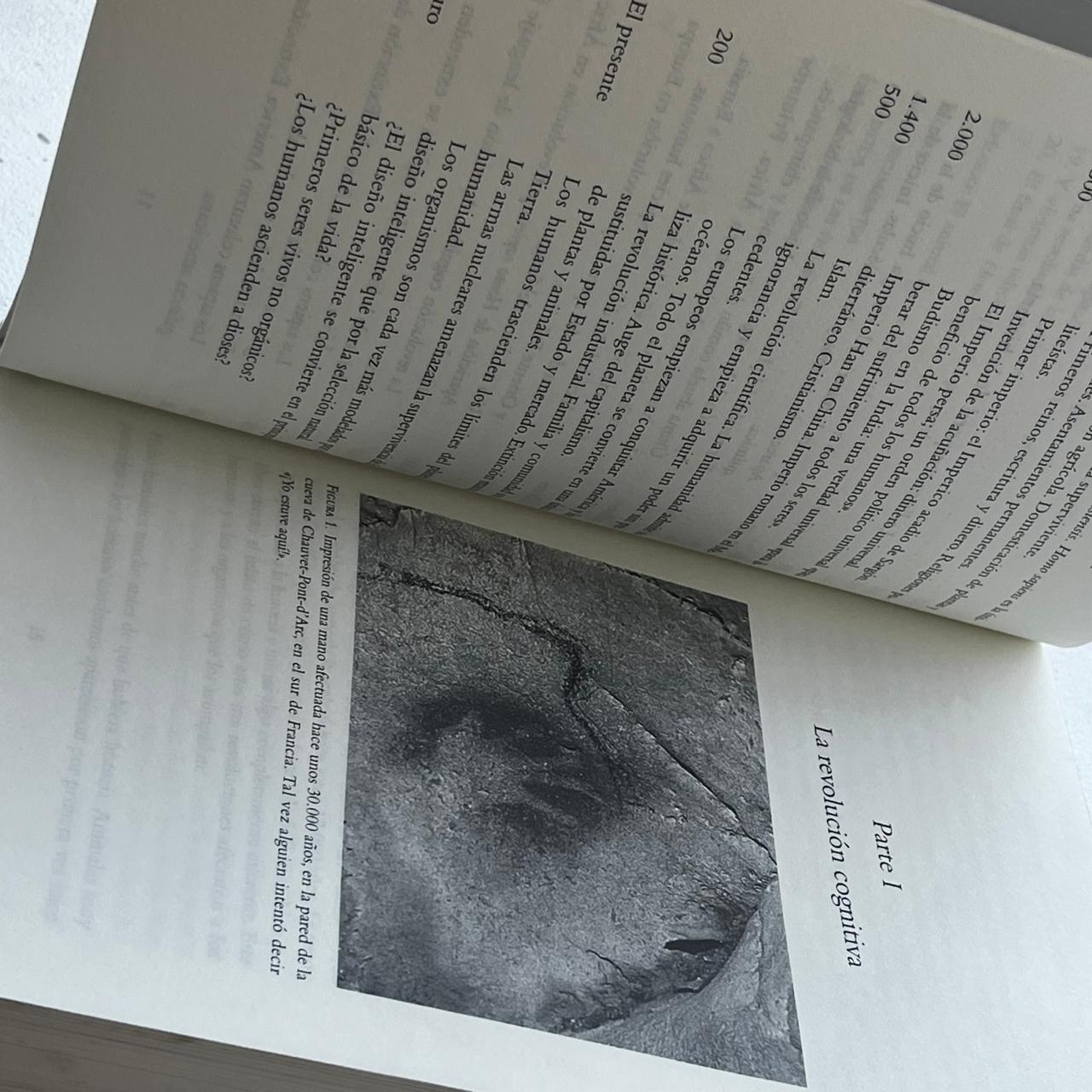 De animales a dioses (Sapiens) - Yuval Noah Harari - Debate - Libro Usado