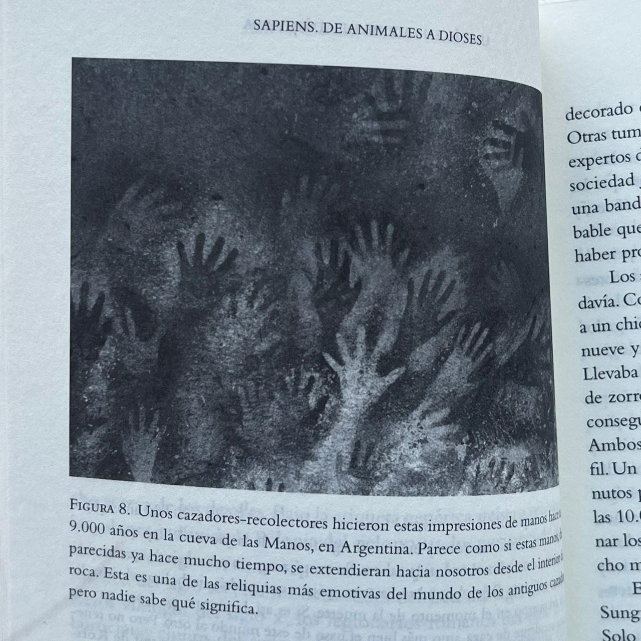 De animales a dioses (Sapiens) - Yuval Noah Harari - Debate - Libro Usado