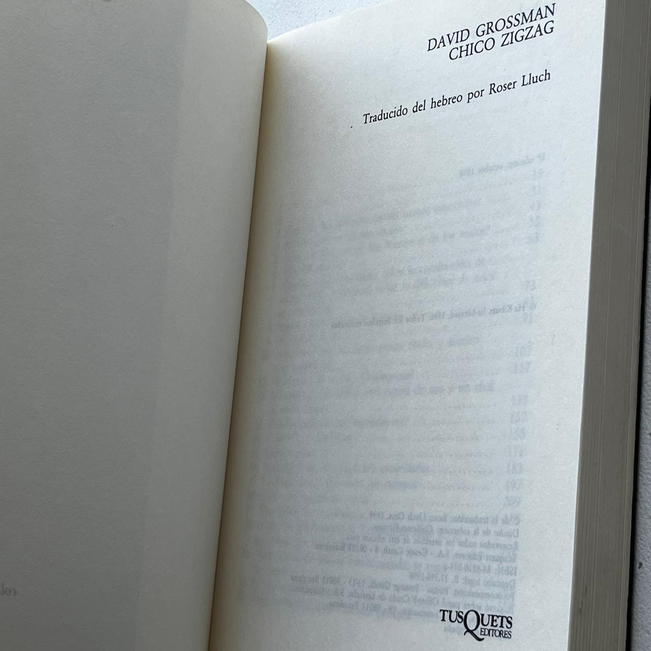 El chico zigzag - David Grossman - Tusquets - Tapa Blanda - Libro Usado