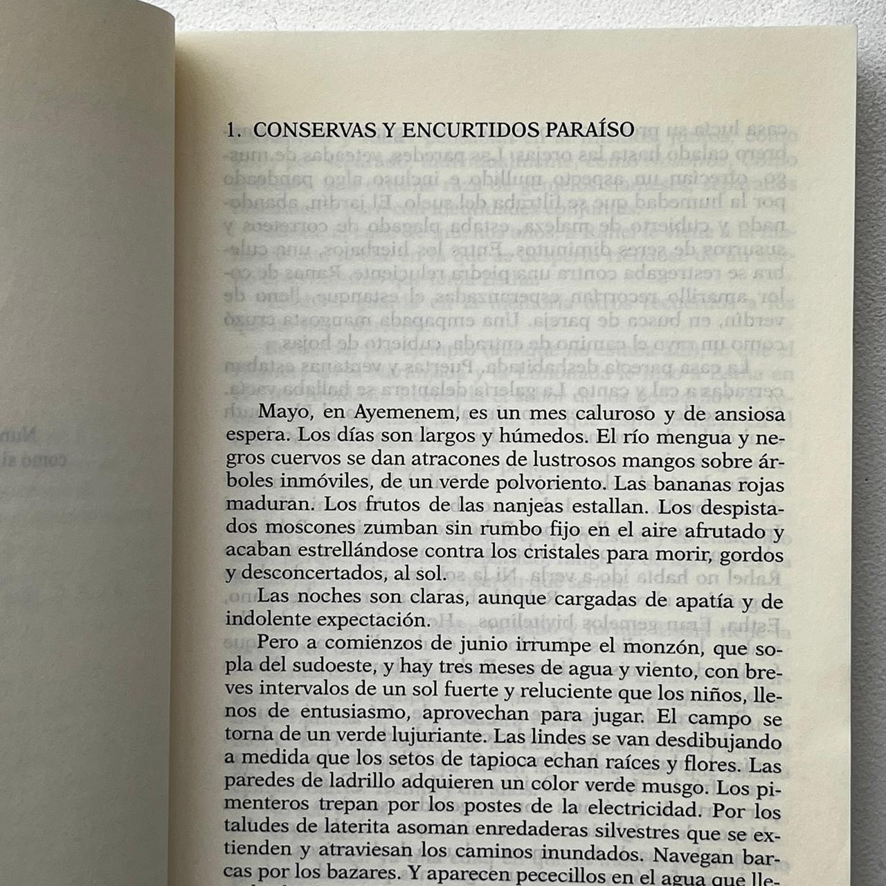 El dios de las pequeñas cosas – Arundhati Roy - Anagrama - Libro Usado