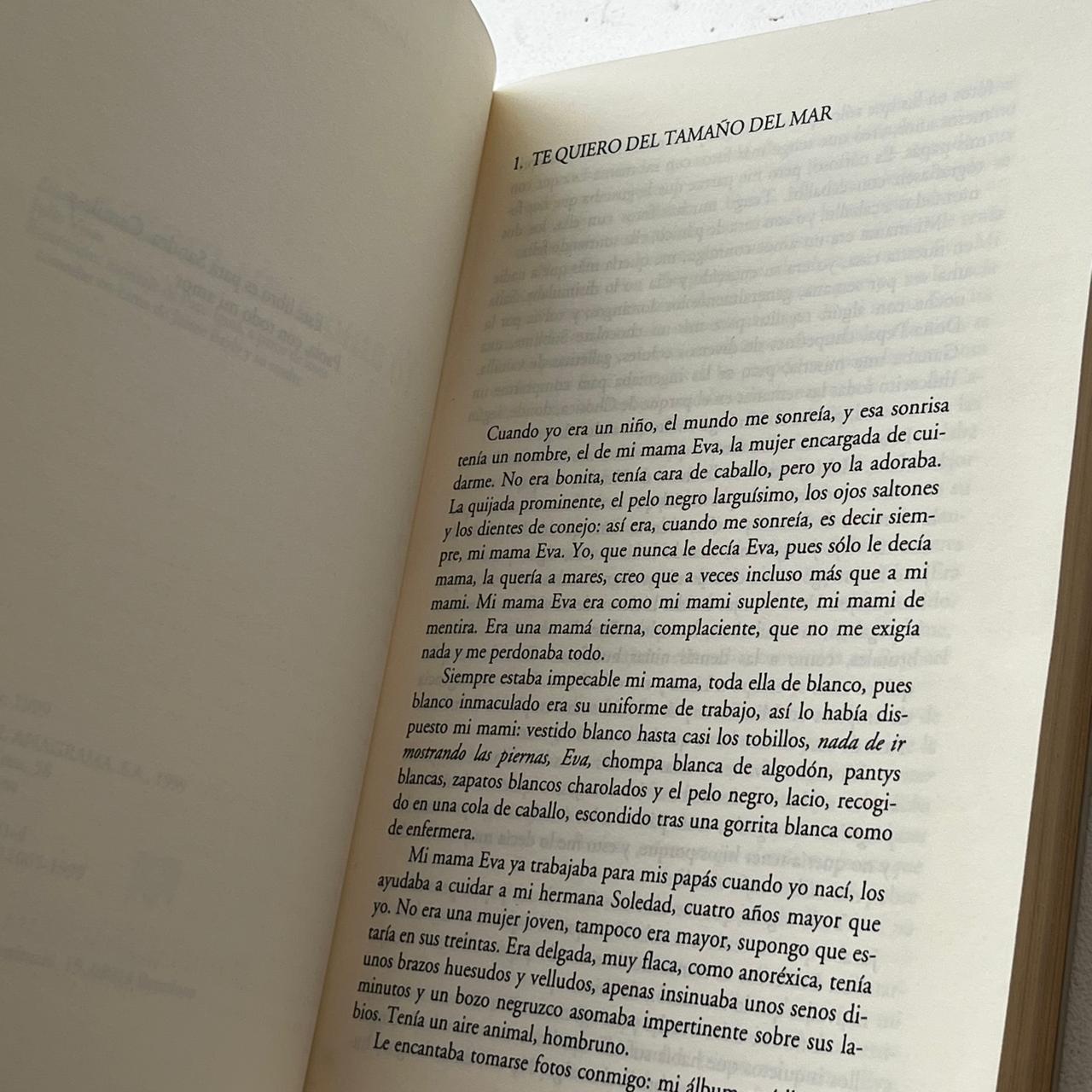 Yo amo a mi mami – Jaime Bayly - Anagrama - Primera Edición - Libro Usado