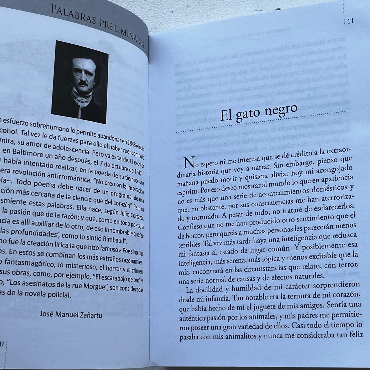 Narraciones Extraordinarias  - Edgar Allan Poe - Zig-Zag - Tapa Blanda - Libro Usado