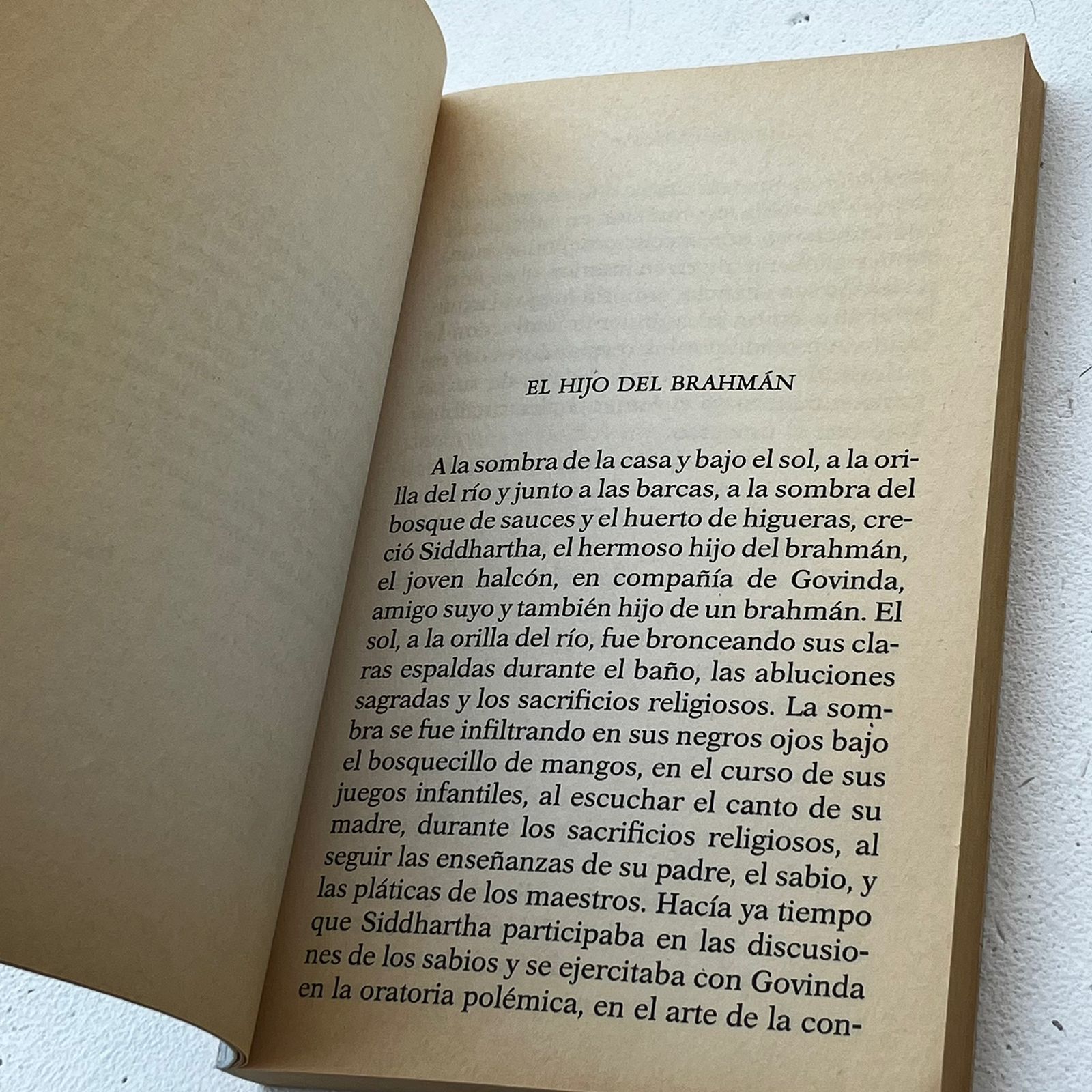 Sidharta - Herman Hesse - Debolsillo - Libro Usado