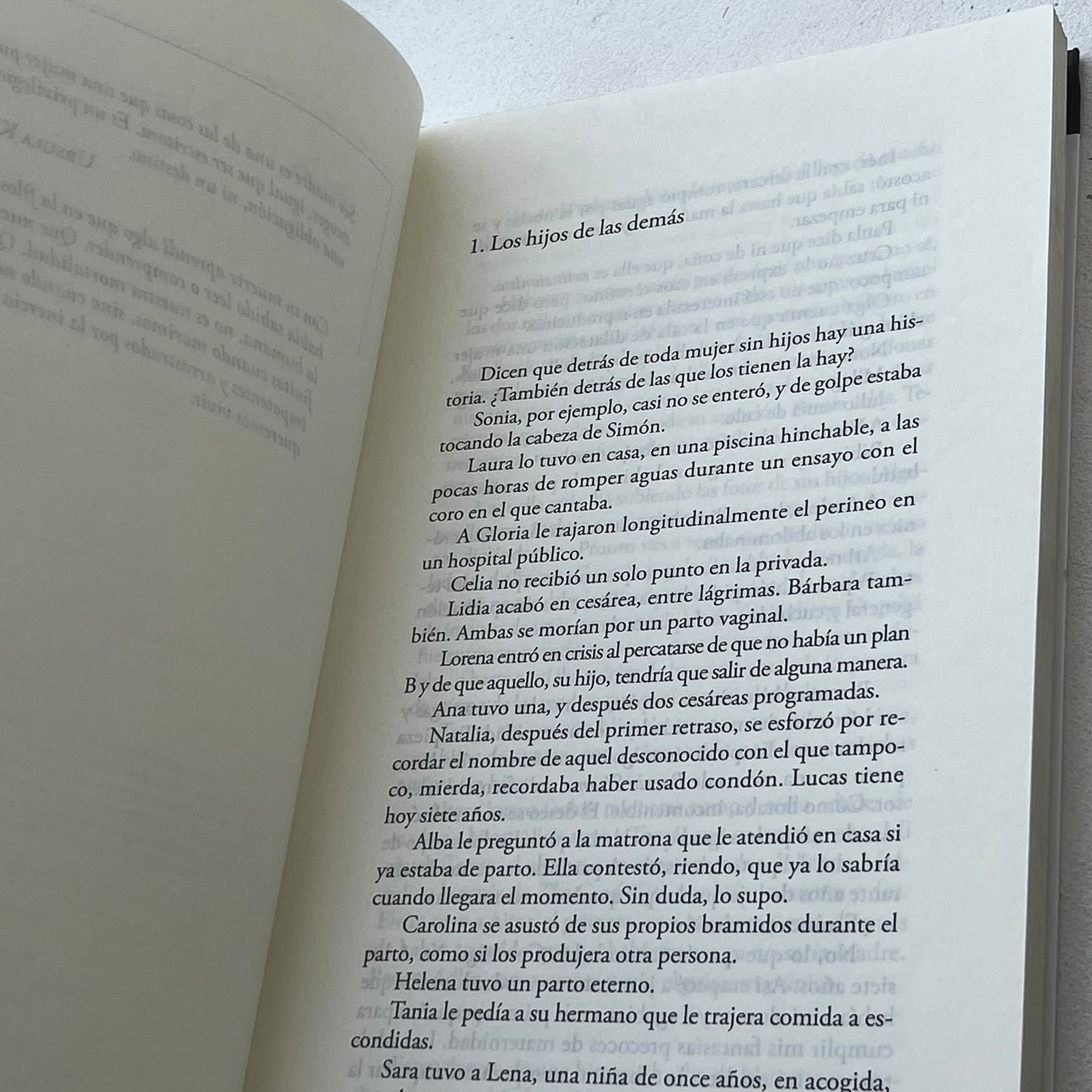 Quién quiere ser madre - Silvia Nanclares - Alfaguara - Libro Usado