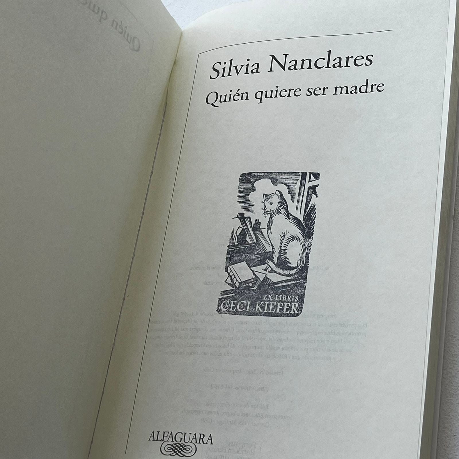 Quién quiere ser madre - Silvia Nanclares - Alfaguara - Libro Usado