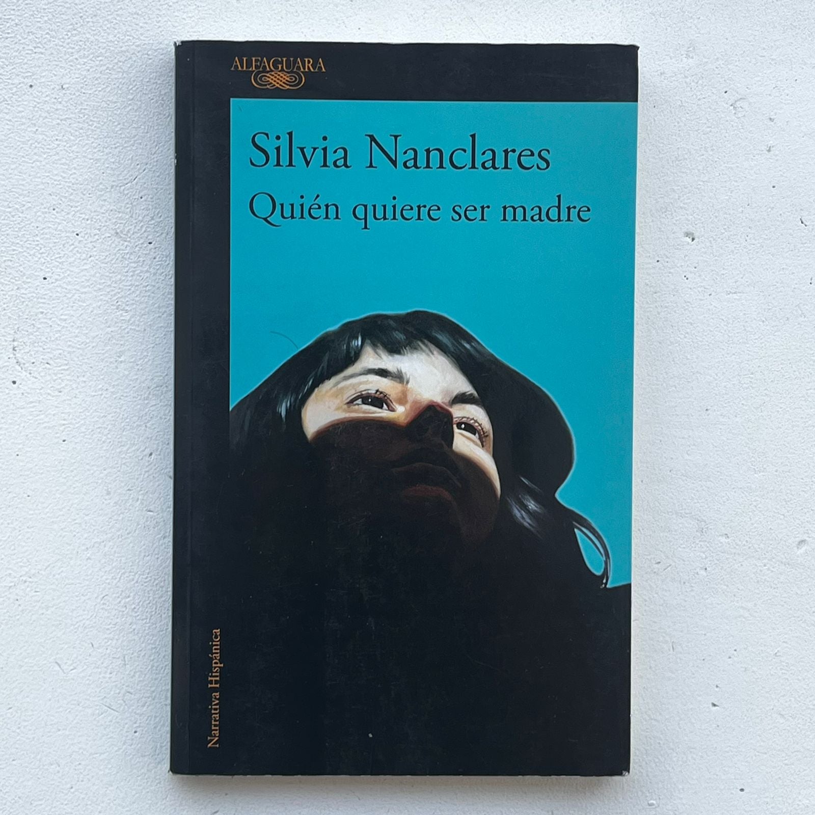 Quién quiere ser madre - Silvia Nanclares - Alfaguara - Libro Usado