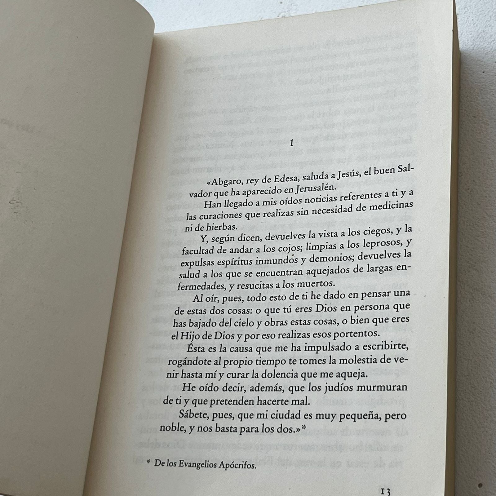 La hermandad de la sábana Santa  - Julia Navarro - DeBolsillo - Libro Usado