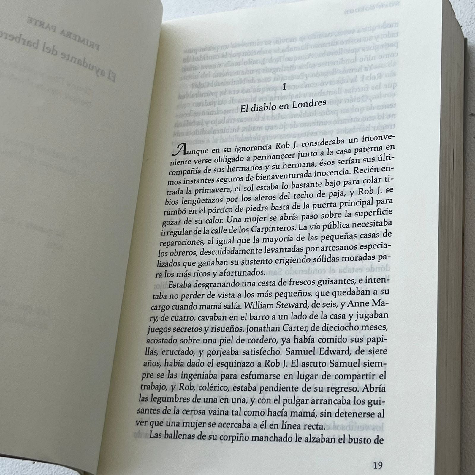 El médico - Noah Gordon - Rocabolsillo - Libro Usado