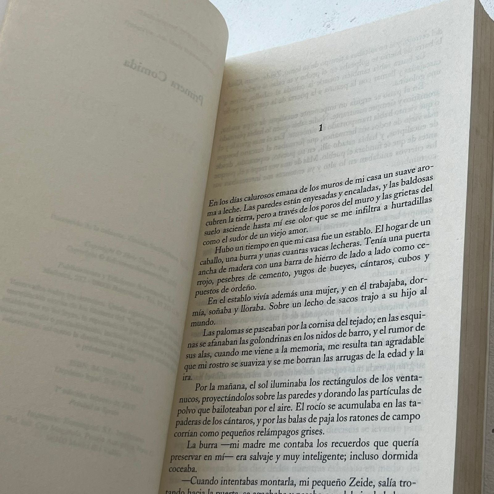 Por amor a Judit - Meir Shalev - Salamandra - Libro Usado