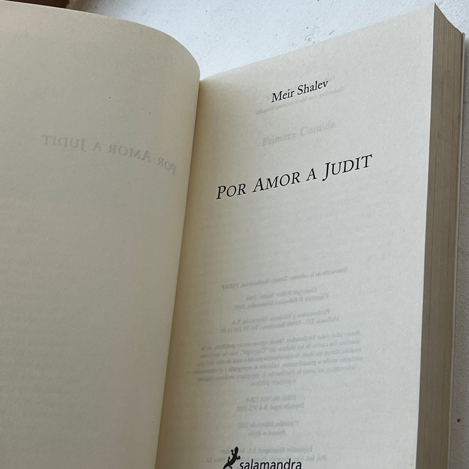 Por amor a Judit - Meir Shalev - Salamandra - Libro Usado