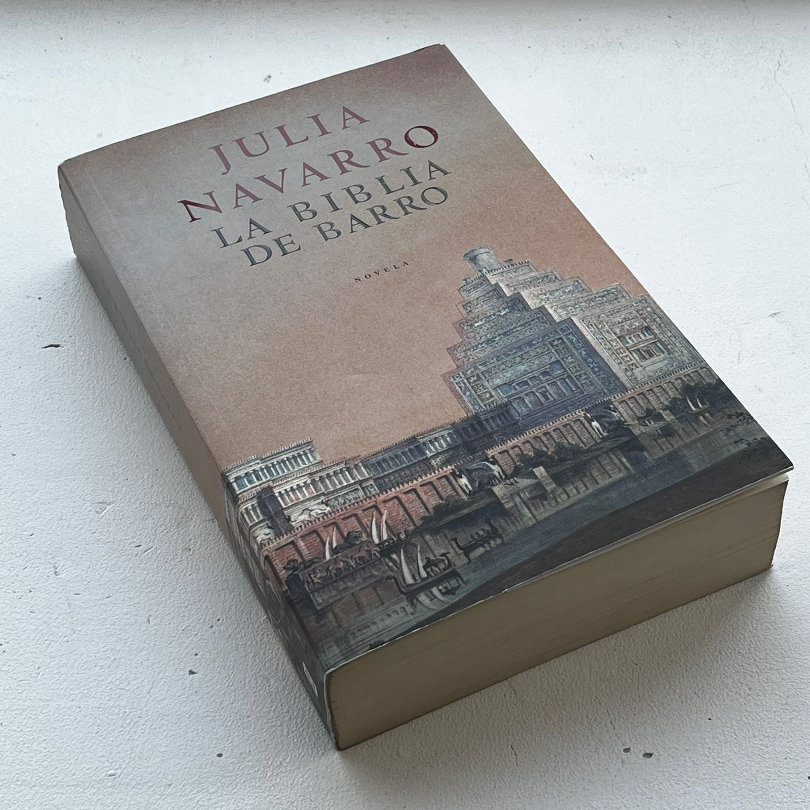 La Biblia de barro - Julia Navarro - Plaza Janes - Libro Usado