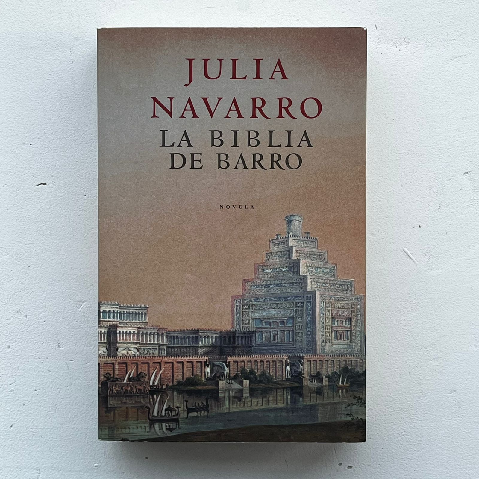 La Biblia de barro - Julia Navarro - Plaza Janes - Libro Usado