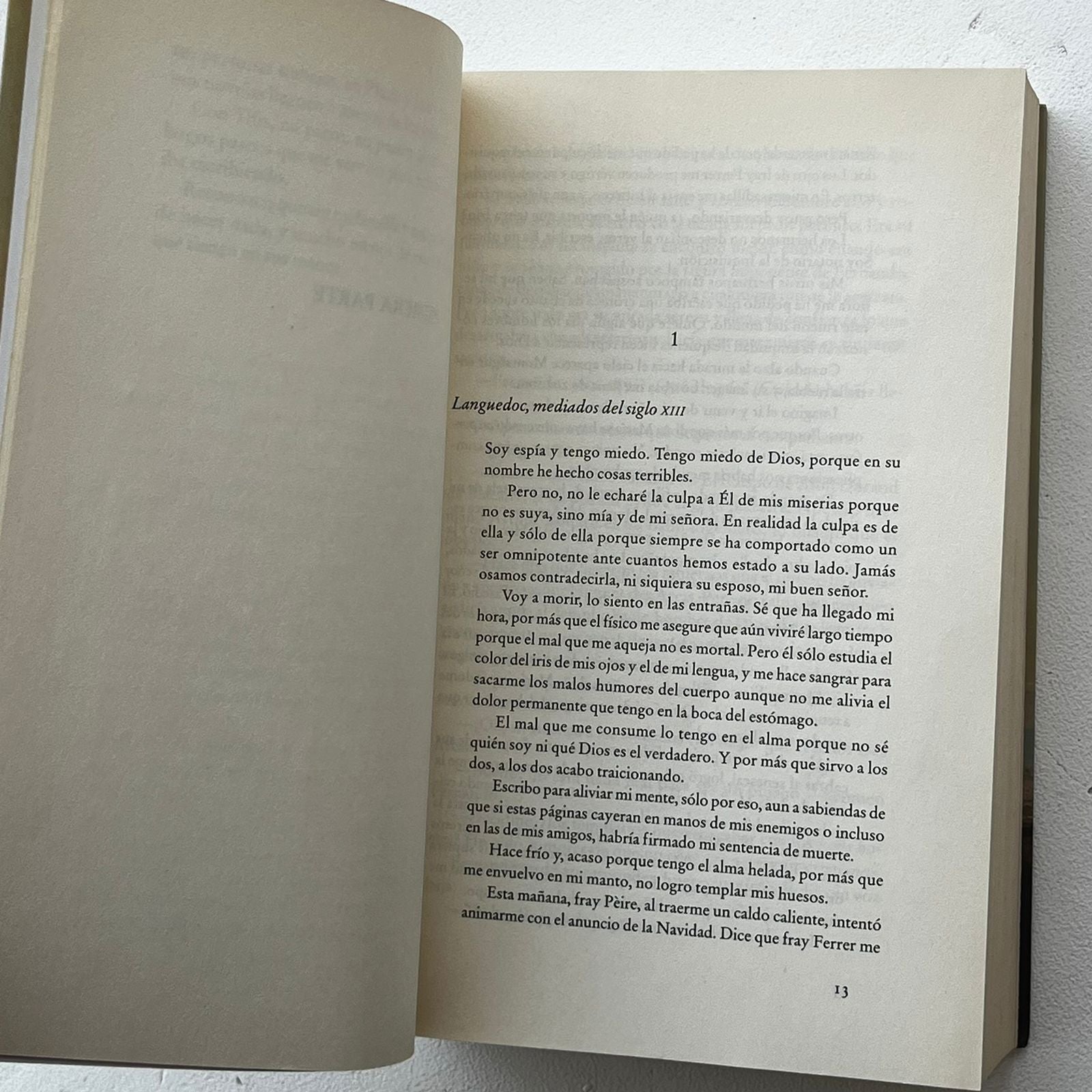 La Sangre de los Inocentes - Julia Navarro - Plaza Janes - Libro Usado
