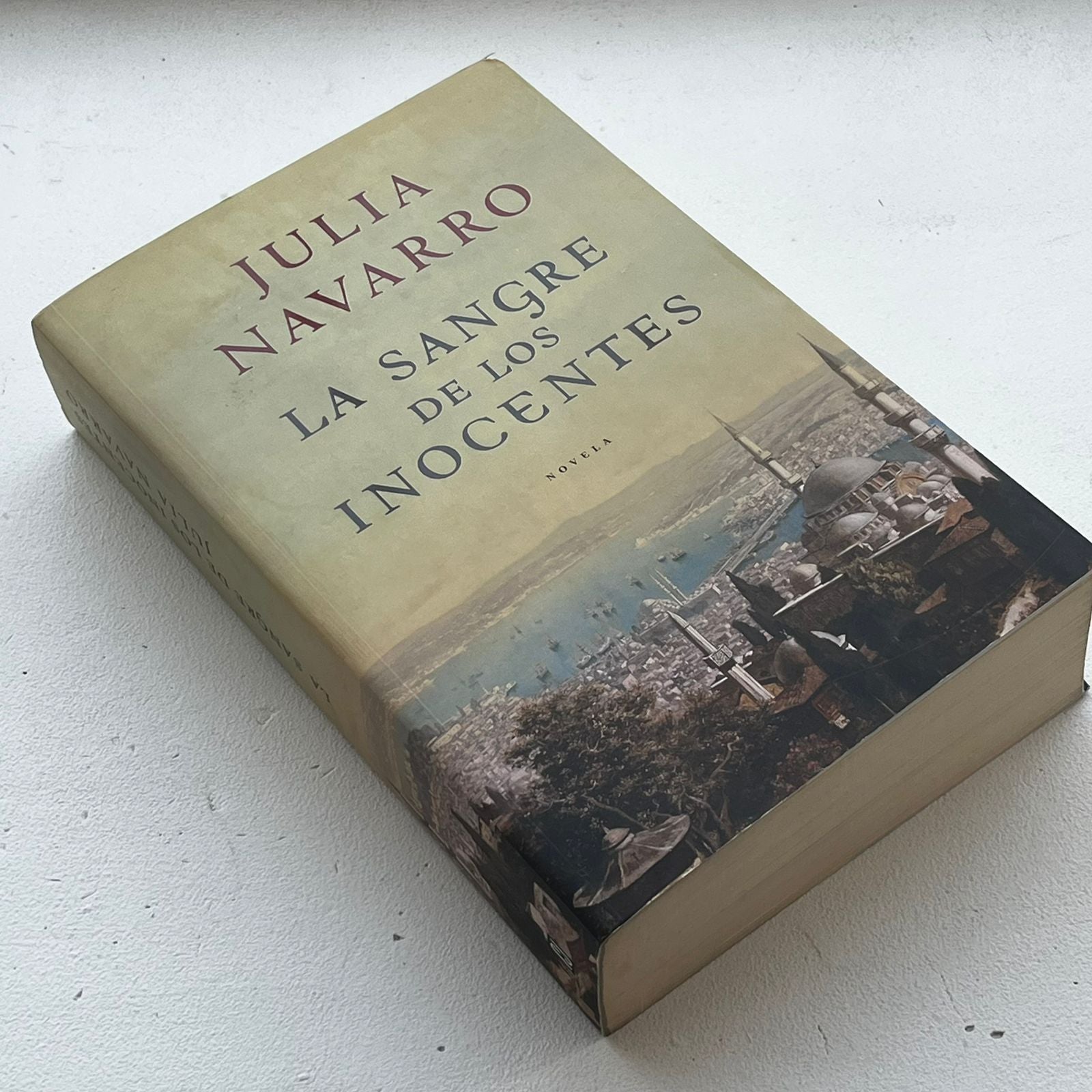 La Sangre de los Inocentes - Julia Navarro - Plaza Janes - Libro Usado