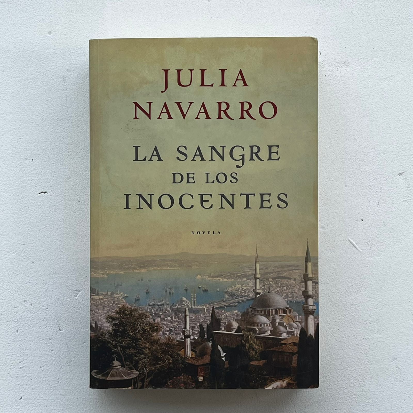 La Sangre de los Inocentes - Julia Navarro - Plaza Janes - Libro Usado