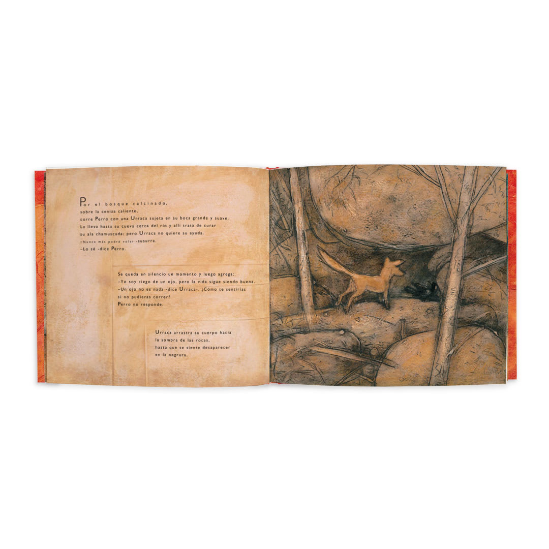Zorro - Margaret Wild - Ekaré - Libro Nuevo (Tapa Dura)