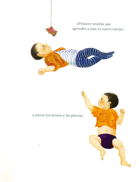Niño estrella - Claire A. Nivola - Editorial Juventud - Libro Nuevo (Tapa Dura)