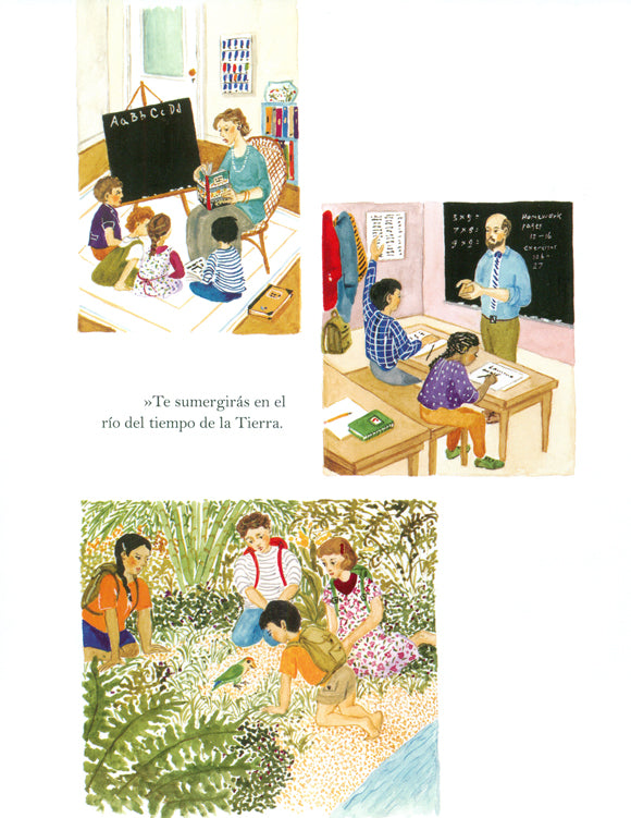 Niño estrella - Claire A. Nivola - Editorial Juventud - Libro Nuevo (Tapa Dura)
