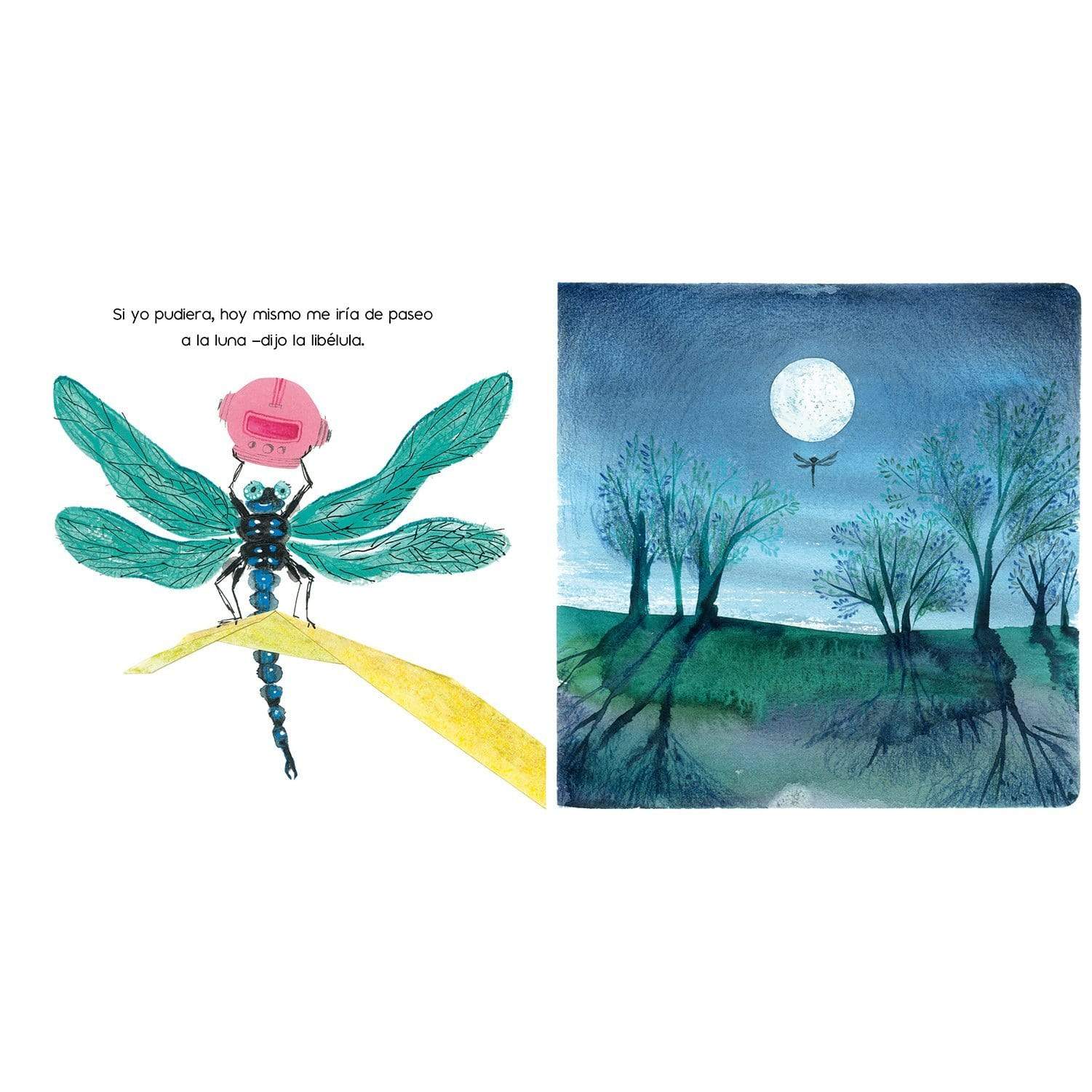 Sueños en el jardín - Paulina Casas - Amanuta - Libro Nuevo (Tapa Dura)