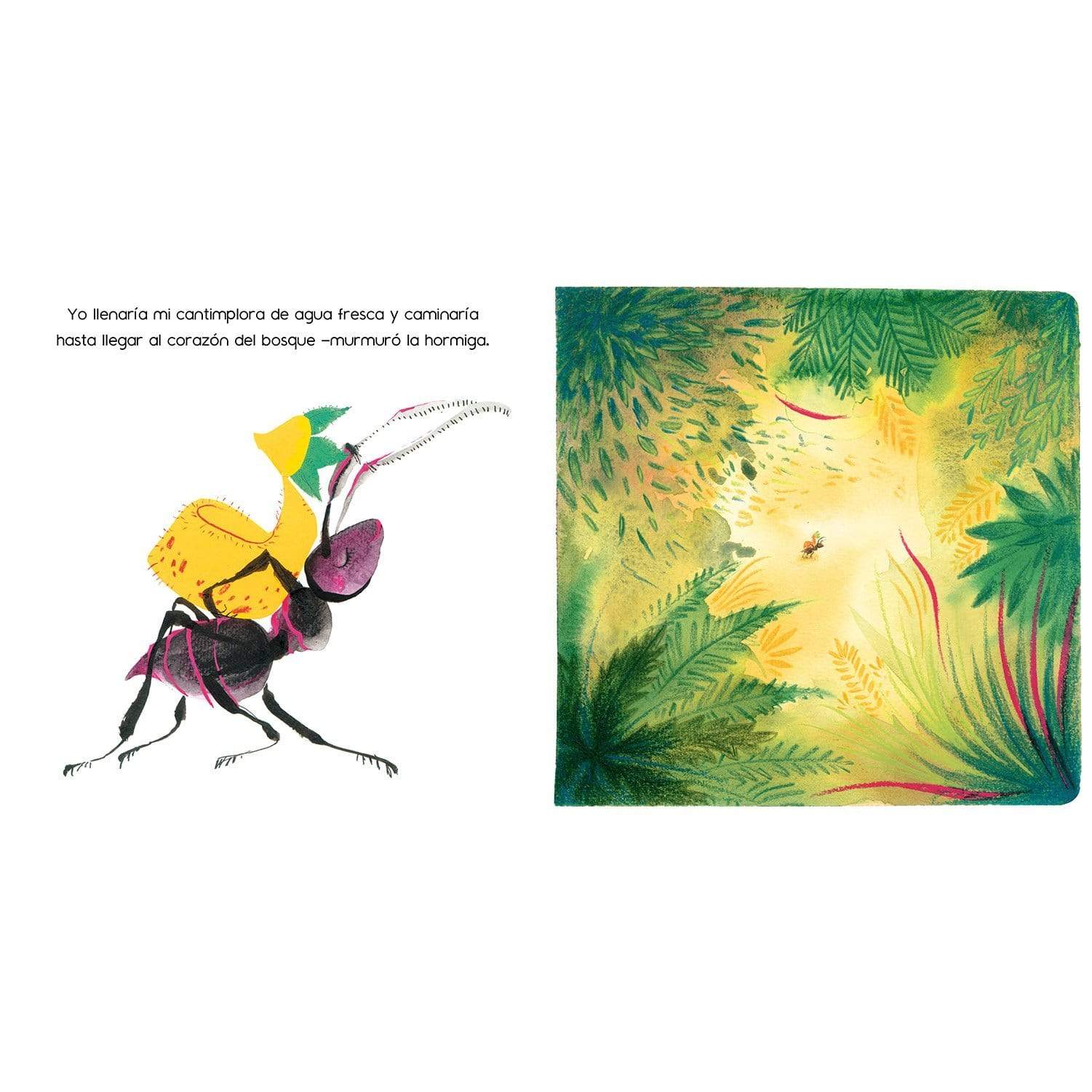 Sueños en el jardín - Paulina Casas - Amanuta - Libro Nuevo (Tapa Dura)
