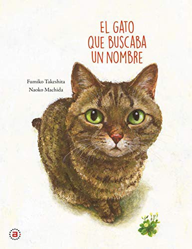 El gato que buscaba un nombre - Fumiko Takeshita - Akal - Libro Nuevo (Tapa Dura)